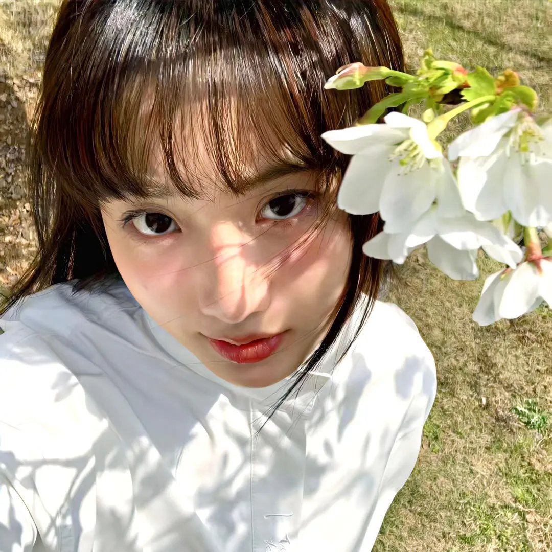 横滨春晓 海报