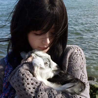 奈良回声 海报