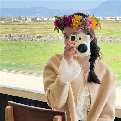 半岛真相 海报